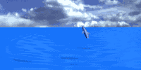 2jumpdolphin.gif